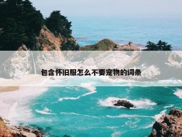 包含怀旧服怎么不要宠物的词条