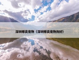 深圳哪卖宠物（深圳哪卖宠物狗好）