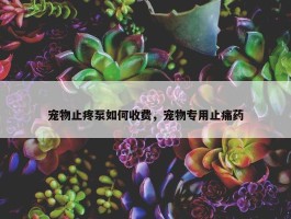 宠物止疼泵如何收费，宠物专用止痛药