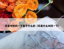 抖音中的抖一下是干什么的（抖音什么叫抖一下）