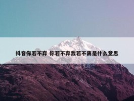 抖音你若不弃 你若不弃我若不离是什么意思