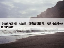 《暗夜与黎明》大结局：徐巍背叛伯劳，刘贵珩成站长？林少白牺牲