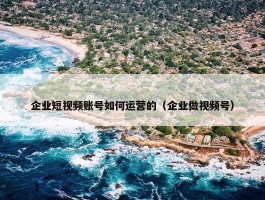 企业短视频账号如何运营的（企业做视频号）