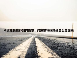 问道宠物精神如何恢复，问道宠物吃精魄怎么变回来