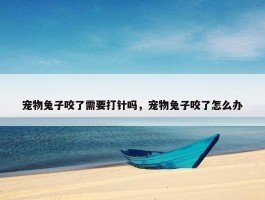 宠物兔子咬了需要打针吗，宠物兔子咬了怎么办