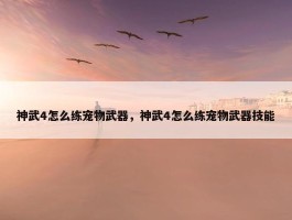 神武4怎么练宠物武器，神武4怎么练宠物武器技能