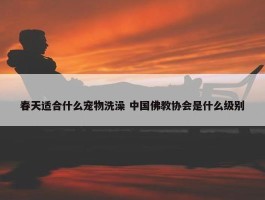 春天适合什么宠物洗澡 中国佛教协会是什么级别