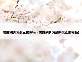 天涯明月刀怎么抓宠物（天涯明月刀端游怎么抓宠物）