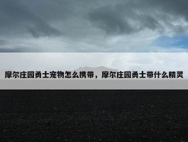 摩尔庄园勇士宠物怎么携带，摩尔庄园勇士带什么精灵