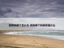 宠物狗病了怎么办 狗狗病了的症状是什么