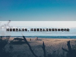 抖音里怎么没有，抖音里怎么没有保存本地功能