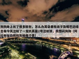 狗狗身上长了很多脓包，怎么办耳朵里和鼻子及嘴巴边缘也有今天注射了一支抗真菌2号注射液，我想问狗狗（阿拉斯加白桃和灰桃哪个贵）