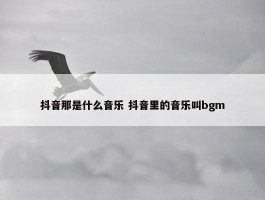 抖音那是什么音乐 抖音里的音乐叫bgm