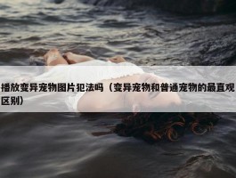 播放变异宠物图片犯法吗（变异宠物和普通宠物的最直观区别）