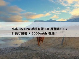 小米 15 Pro 手机有望 10 月登场：6.78 英寸屏幕 + 6000mAh 电池