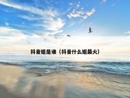 抖音姐是谁（抖音什么姐最火）