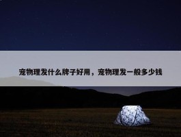 宠物理发什么牌子好用，宠物理发一般多少钱