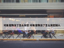 对象宠物没了怎么安慰 对象宠物没了怎么安慰别人