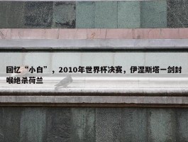 回忆“小白”，2010年世界杯决赛，伊涅斯塔一剑封喉绝杀荷兰