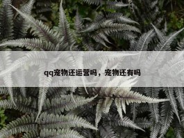 qq宠物还运营吗，宠物还有吗