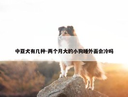 中亚犬有几种-两个月大的小狗睡外面会冷吗