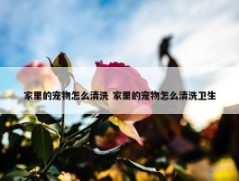 家里的宠物怎么清洗 家里的宠物怎么清洗卫生