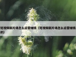 短视频新片场怎么运营赚钱（短视频新片场怎么运营赚钱的）