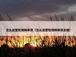 怎么运营短视频带货（怎么运营短视频带货主播）