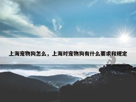 上海宠物狗怎么，上海对宠物狗有什么要求和规定