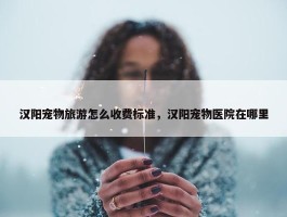 汉阳宠物旅游怎么收费标准，汉阳宠物医院在哪里