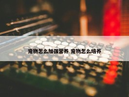 宠物怎么加强营养 宠物怎么培养