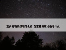 室内宠物田螺喂什么鱼 在家养田螺给他吃什么