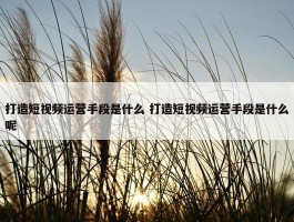 打造短视频运营手段是什么 打造短视频运营手段是什么呢