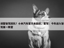 调整智驾团队？小米汽车官方未回应，雷军：今年进入智驾第一阵营