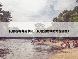 抚顺在哪办宠物证（抚顺宠物救助站在哪里）