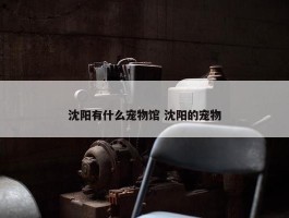 沈阳有什么宠物馆 沈阳的宠物