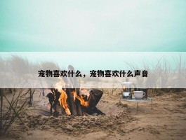 宠物喜欢什么，宠物喜欢什么声音