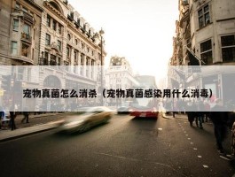 宠物真菌怎么消杀（宠物真菌感染用什么消毒）