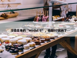 没造出来的“Model 5”，极越07笑纳了