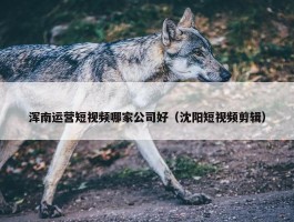 浑南运营短视频哪家公司好（沈阳短视频剪辑）