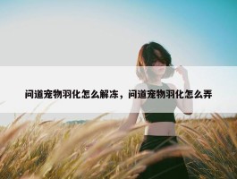 问道宠物羽化怎么解冻，问道宠物羽化怎么弄