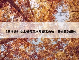 《黑神话》文本错误再次引玩家热议：看来真的很忙