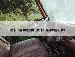 皮卡丘是谁的宠物（皮卡丘是谁的宝可梦）