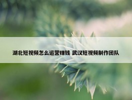 湖北短视频怎么运营赚钱 武汉短视频制作团队