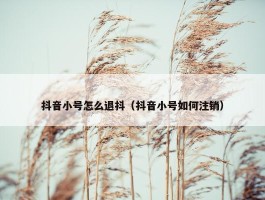 抖音小号怎么退抖（抖音小号如何注销）