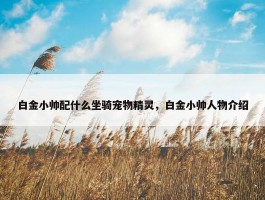 白金小帅配什么坐骑宠物精灵，白金小帅人物介绍