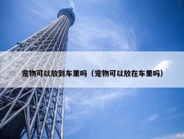 宠物可以放到车里吗（宠物可以放在车里吗）