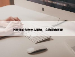 上医保的宠物怎么报销，宠物看病医保