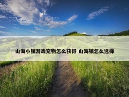 山海小镇游戏宠物怎么获得 山海镇怎么选择