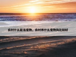 农村什么能当宠物，农村养什么宠物狗比较好